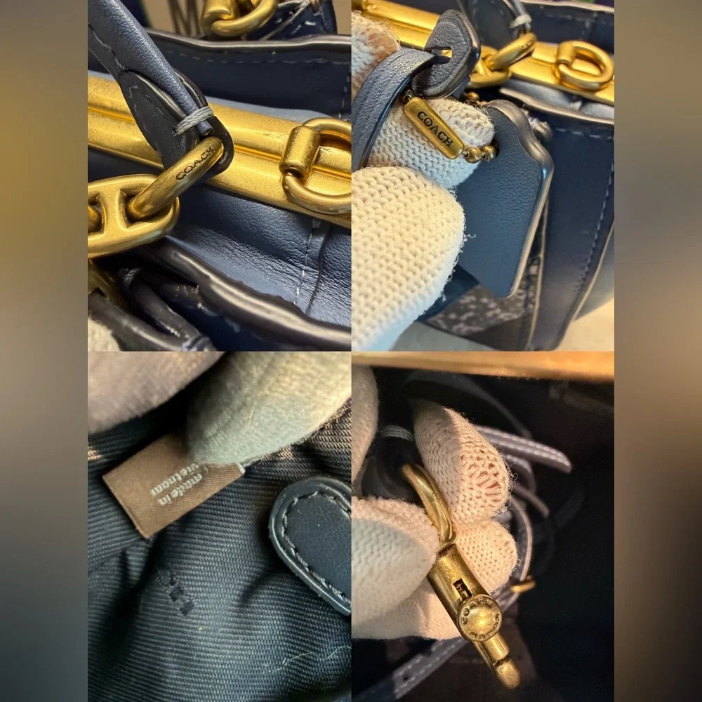 Coach kisslock dreamer 21 snakeskin detail